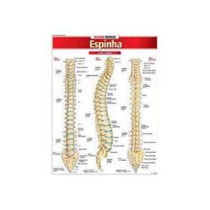 Imagem de Resumão Medicina - Espinha - Bf&a - 9788577113019