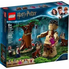 Lego Harry Potter Castelo De Hogwarts - 71043 (6020 Peças)