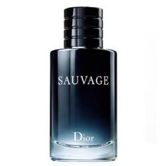 Imagem de Dior Sauvage Eau de Toilette - Perfume Masculino 100ml