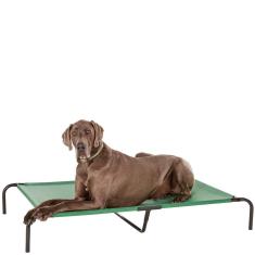 Imagem de Cama para cães com resfriamento elevado Amazon Basics X-Large Green