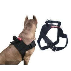 Imagem de Coleira Peitoral Para Cachorro - Tamanhos Variados - Canadá K9 Acessór