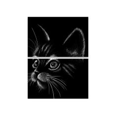 Resultado de imagem para gatos de oculos tumblr