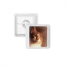 Imagem de Animal Sentimental Cat Simpol Shoot Keycap Teclado mecânico PBT Kit de atualização para jogos