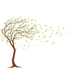 Imagem de Adesivo Parede Para Quarto Árvore 235X 170Cm