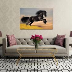 Imagem de Quadro decorativo Cavalo  Pulando Para Sala Quarto