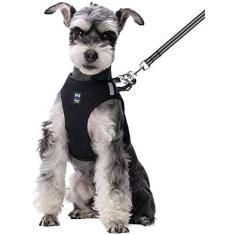 Imagem de Peitoral e guia para gatos para caminhadas à prova de fuga