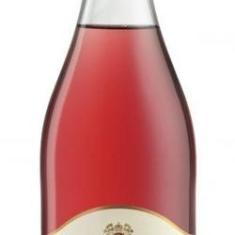 Imagem de Vinho Frisante Cella Lambrusco Rose (750ml)