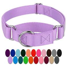 Imagem de Coleira Country Brook Petz Martingale para cães - Coleira de treinamento resistente sem fivela - Coleira para cães de serviço para todos os filhotes - Coleção vibrante e colorida (lavanda, 2,5 cm,