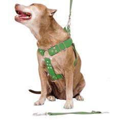 Imagem de Peitoral Cachorro Com Guia E Adaptador Serve Pit Bull Labrador - Dedca