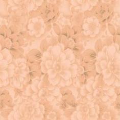 Imagem de Papel De Parede Adesivo Lavável Prímula Rosê 6M