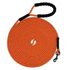 Imagem de Cdycam Coleira de corda longa resistente de 30 m com alça macia, fios altamente reflexivos, lembrete, treinamento, agilidade, guia para caminhar, caçar ou quintal