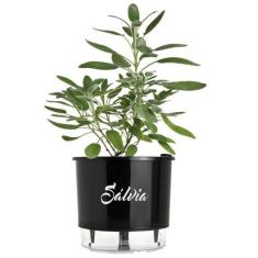 Imagem de Vaso Raiz Autoirrigável N3 16x14  Sálvia Original