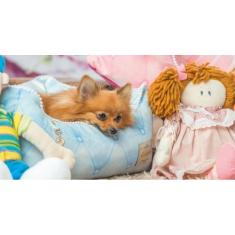 Imagem de Cama Para Cachorro Cama Para Gato Caminha Para Pet Retangular Fofura C