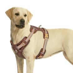 Imagem de Beirui Peitoral para cães de tamanho médio, sem puxão, colete ajustável para facilitar a caminhada, material oxford respirável, tiras refletivas com clipe frontal de metal para cães pequenos e médios,