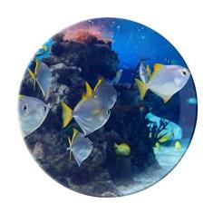 Imagem de Prato decorativo de porcelana Salver Salver de peixe oceano ciência natureza