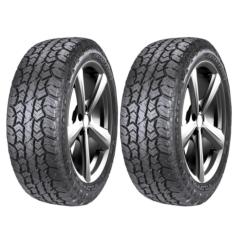 Imagem de KIT 2 PNEUS DOUBLESTAR 225/60R17 99T WILDWOLF W01
