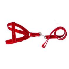 Imagem de Coleira Peitoral Americano De Camurça Vermelha - N.4 - Nicapet