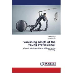 Imagem de Vanishing Assets of the Young Professional: Where it is Going and What it Means for the Economy
