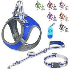 Imagem de JSXD Arnês para cães pequenos, arnês para filhotes, coleira ajustável e conjunto de coleira para cães pequenos, arreio para cães pequenos, colete refletivo 3M para filhotes pequenos e médios