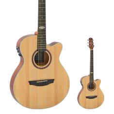 Imagem de Violão Elétrico Aço Super Flat Strinberg SF200C NS