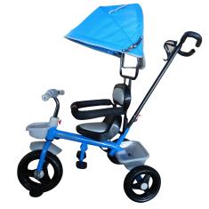 Imagem de Triciclo Infantil 2x1 Velotrol Capota BW084  Importway