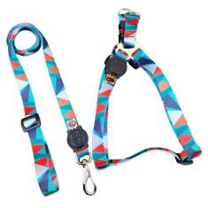 Imagem de Coleira Para Cachorro Porte Grande Com Guia - Facepet