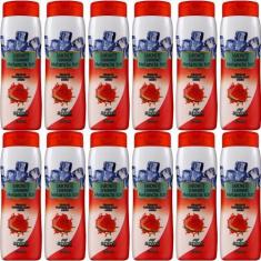 Imagem de Kit 12 Sabonete Líquido Feminino Melancia Ice Aroeira - Apinil