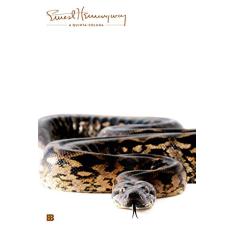 Imagem de A Quinta-coluna - Hemingway, Ernest - 9788528609363