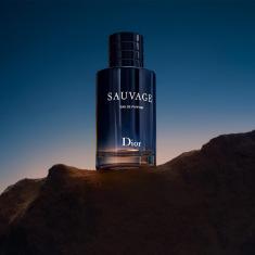 Imagem de Sauvage Dior Masculino Eau De Parfum 200Ml