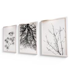 Imagem de Quadro Decorativo Árvores Minimalista Moldura 