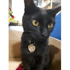 Imagem de 1Medalha Para Coleira De Pet Proteção São Francisco De Assis - Amor Li