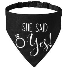 Imagem de Presente de noivado, My Humans are Getting Married Dog Bandana Collar, Anel D forte para coleira fácil anexada Noivado, Coleira de cachorro ajustável com fivela de liberação rápida para cães gatos