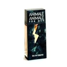 Imagem de Perfume Masculino Animale Animale For Men Edt 100 ml