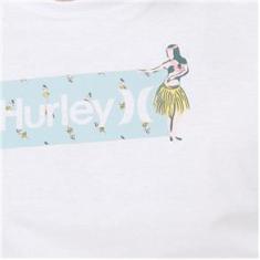 Imagem de Camiseta Hurley Silk O&O Box Windansea Masculina 