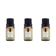 Imagem de Kit 3 Essências Alecrim Silvestre - 10Ml Via Aroma