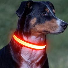 Imagem de Vizpet Coleira de LED para cães, com iluminação ajustável, recarregável, super brilhante, para cães