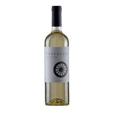 Imagem de Vinho cantagua classic sauvignon blanc 750ml - Vina Cantagua