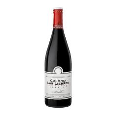 Imagem de Vinho Altos Las Hormigas Colina Las Liebres Bonarda 750ml