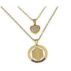 Imagem de Colar Minha Profissão Veterinária Folheado Ouro 18k