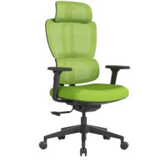Imagem de Cadeira Ergonômica Beta High Escritório Verde