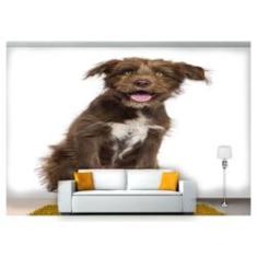 Imagem de Papel De Parede Cachorro Vira Lata Sentado 3D Anm244