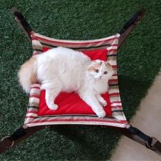 Imagem de Cama Para Gatos E Cães Sheik - Au Au Miau Company