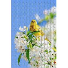 Imagem de Quebra-Cabeça Cognitivo Primavera Viva 300 Peças