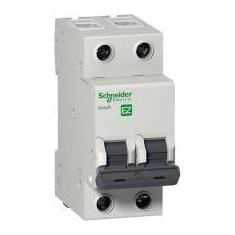 Imagem de Mini Disjuntor C Bipolar 40A Schneider - 