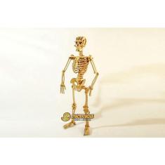 Imagem de Quebra Cabeça 3D esqueleto humano 109 peças em mdf - dinobrinque
