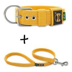 Imagem de Coleira Cachorro Grande Pit Bull + Guia 80cm (Amarelo) - Amorosso