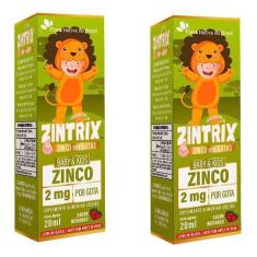 Imagem de 2X Zintrix Zinco Em Gotas Baby & Kids 2Mg Por Gota 20ml - Flora Nativa