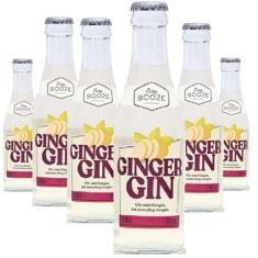 Imagem de Easy Booze Ginger Gin 200Ml 6 Unidades