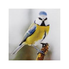 Imagem de Tela Impressa Pássaro Corpo 