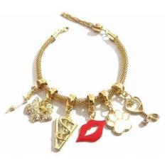 Imagem de Pulseira Veterinária Cachorro Pata Seringa Esteto Folheado